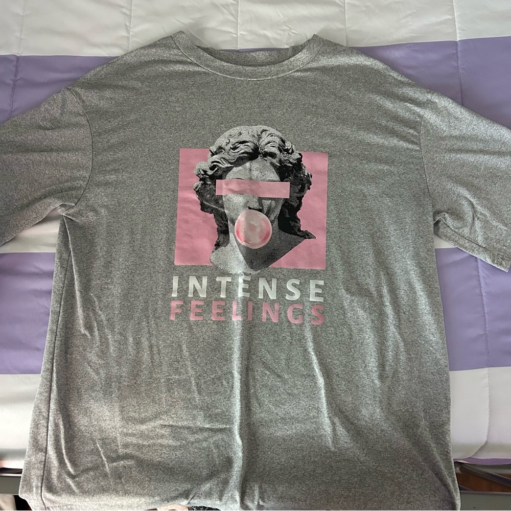 SHEIN Gray and Pink Graphic Short Sleeve Tee